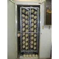 Sell Fertile And Fresh Hatching Ostrich And Parrots Eggs