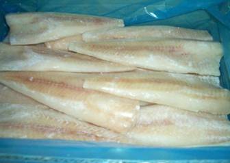 Frozen Alaska Pollock Fillets