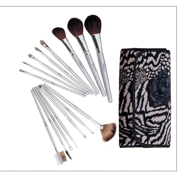 Professional Cosmetic Brush Set