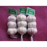 Best Quality Chinese Fresh Garlic