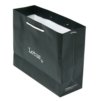 Paper Bag Packing Bag Shopping Bag