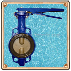butterfly valve