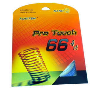 Pro Touch 66