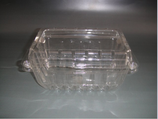 Pet Food Container Or Blister Food Tray