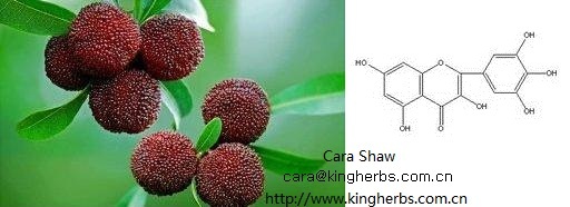 Kingherbs Offer China Myricetin