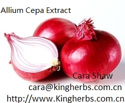 Allium Cepa Extract / Onion Extract
