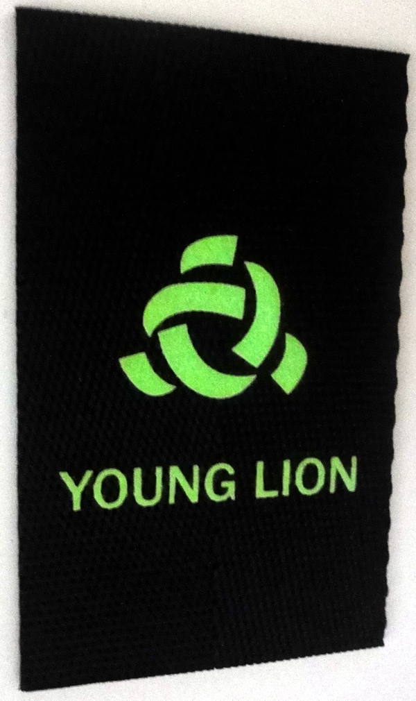 Inexpensive Promotional Fabric Fluorescence Clothing Reflective Hangtag With Green Fluorescent Light