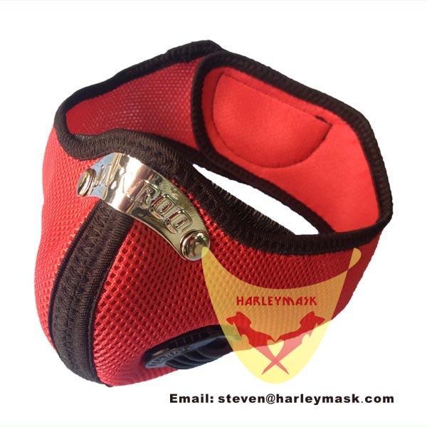 Motorcycle Mask (HL#1001)