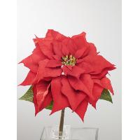 Christmas Flower