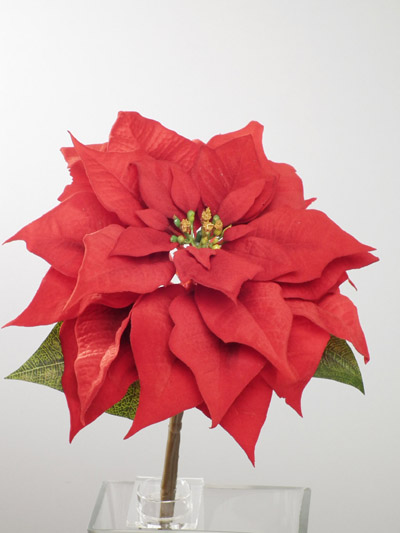 Christmas Flower