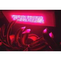 Supply 600 W Led Grow Light