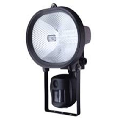 Security Lighting Camera