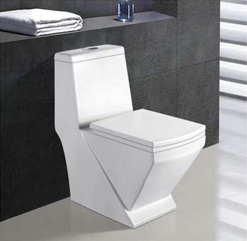 5505 Washdown One-piece Toilet