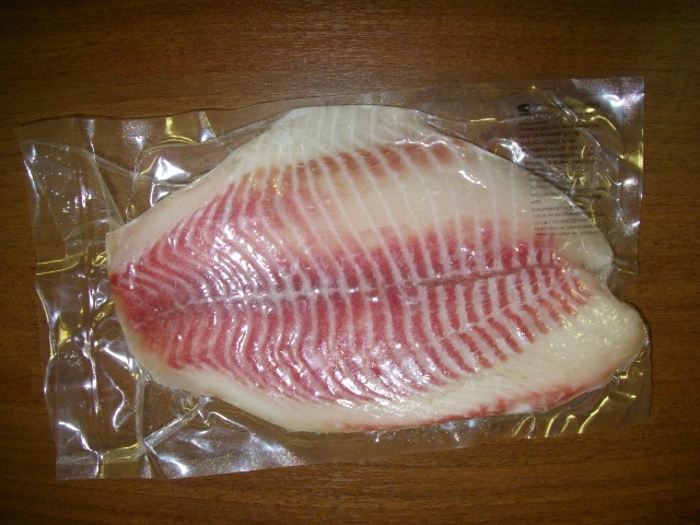 Tilapia