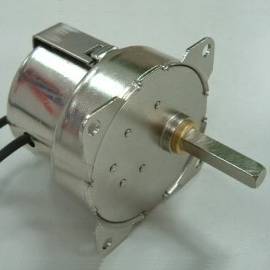 Ac Reversible Synchronous Motor