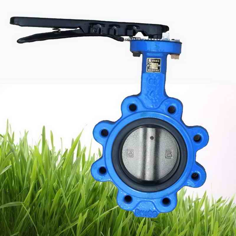 Cast Iron Wafer Butterfly Valve