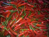 fresh chili