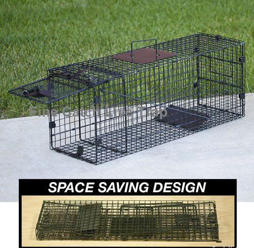 Large 1-Door Humane Animal Trap for Raccoons Cats Groundhogs Foxes  Collapsible