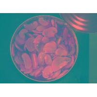 Canned Mushroom In Brine