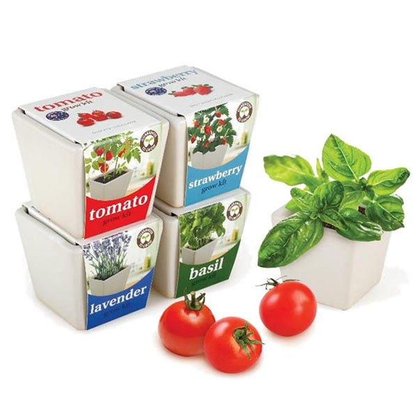 Mini Ceramic Collection