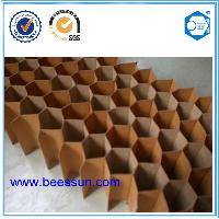 Beecore Paper Honeycomb Core