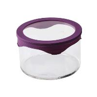 Anti-microbial Borosilicate Glass Food Container