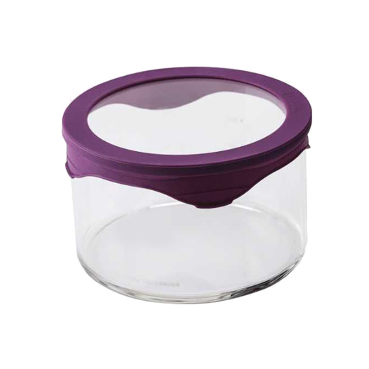 Anti-microbial Borosilicate Glass Food Container