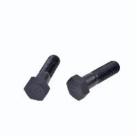Hex Bolt/hex Cap Screw