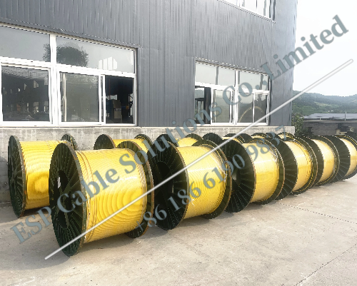 Downhole Sensor Cable