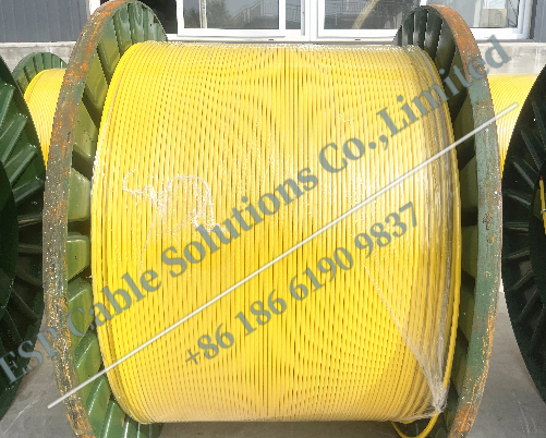 Downhole Instrumentation Cable