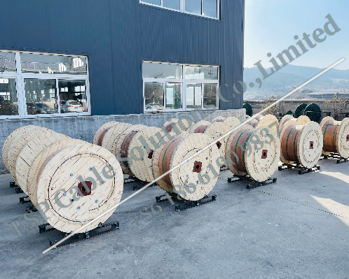 Permanent downhole cable