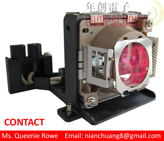 Projector Lamps/bulbs