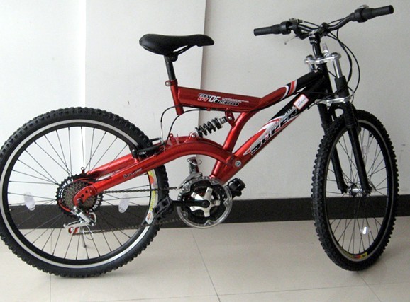 Mountain Bicycle