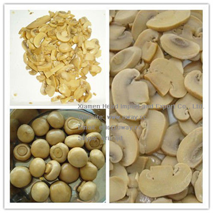 Canned Mushroom/ Canned Food