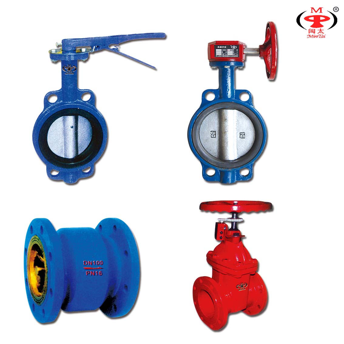 Cast Iron Gate Valve