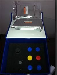 Human Ps2/pnr-2(ps2)elisa Kit