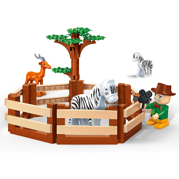 Safari