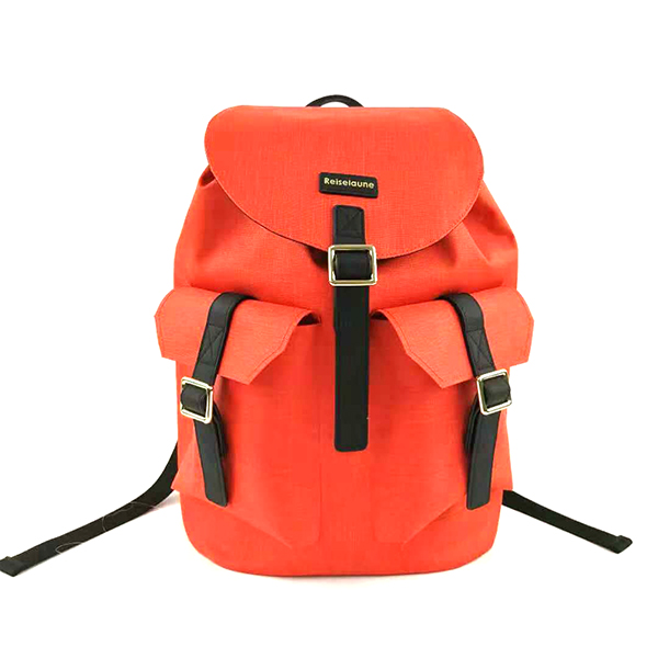 Waterproof Backpack
