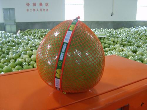 Honey Pomelo