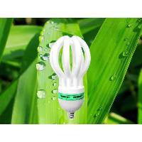 Lotus Energy Saving Lamps