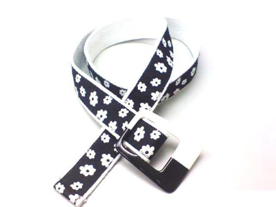 Canvas Belt
