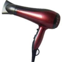 Professional Hair Dryer