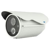 provide megapixel IP cameras