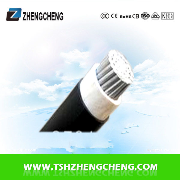 Aluminum Conductor Pvc Insulated 1x2.5mm 0.6/1kv Dc Power Cable