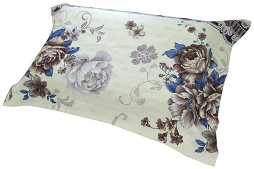 Energy Pillow