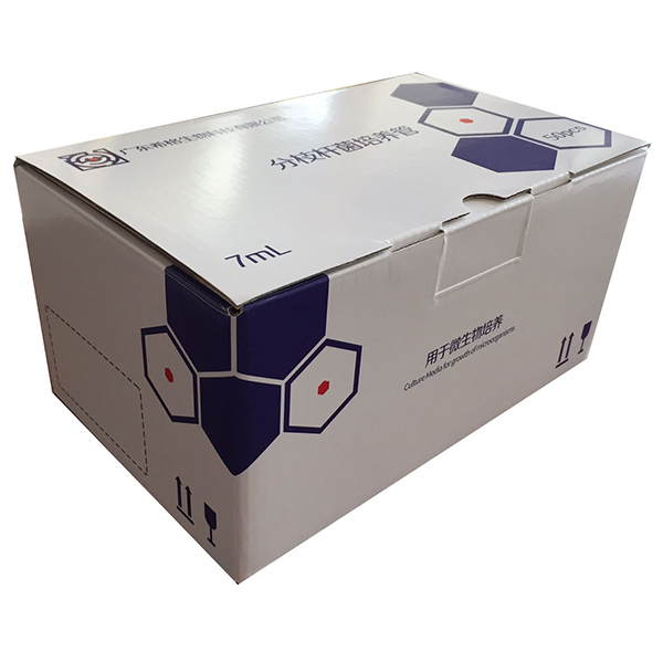 Corrugated Box