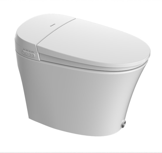 Water-tank-free intelligent toilet
