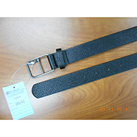 Belt