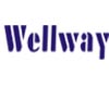Wellway Security Technology Co., Ltd