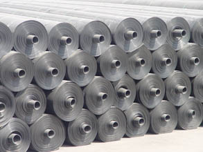 Hdpe Geomembrane